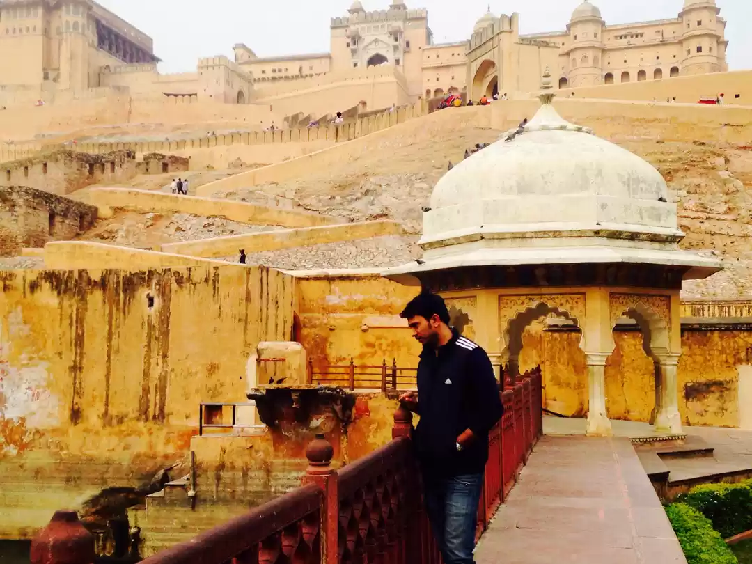 Photo of Journey Amidst The F