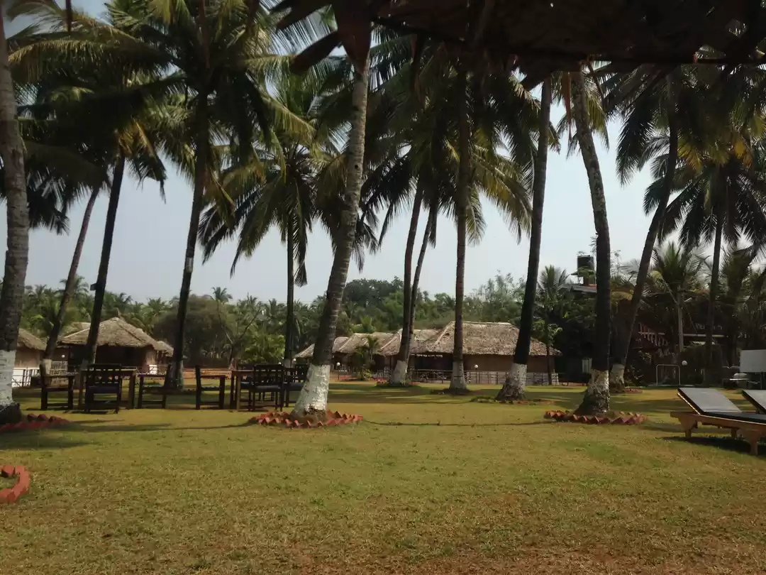 Photo of Goa: Let your Soul