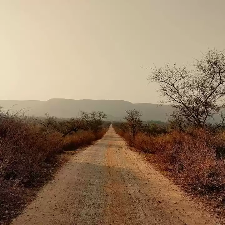 Photo of Delhi Nearby Trips: 