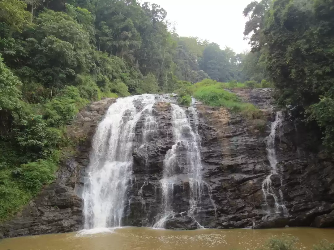 Photo of Coorg: Call of the H