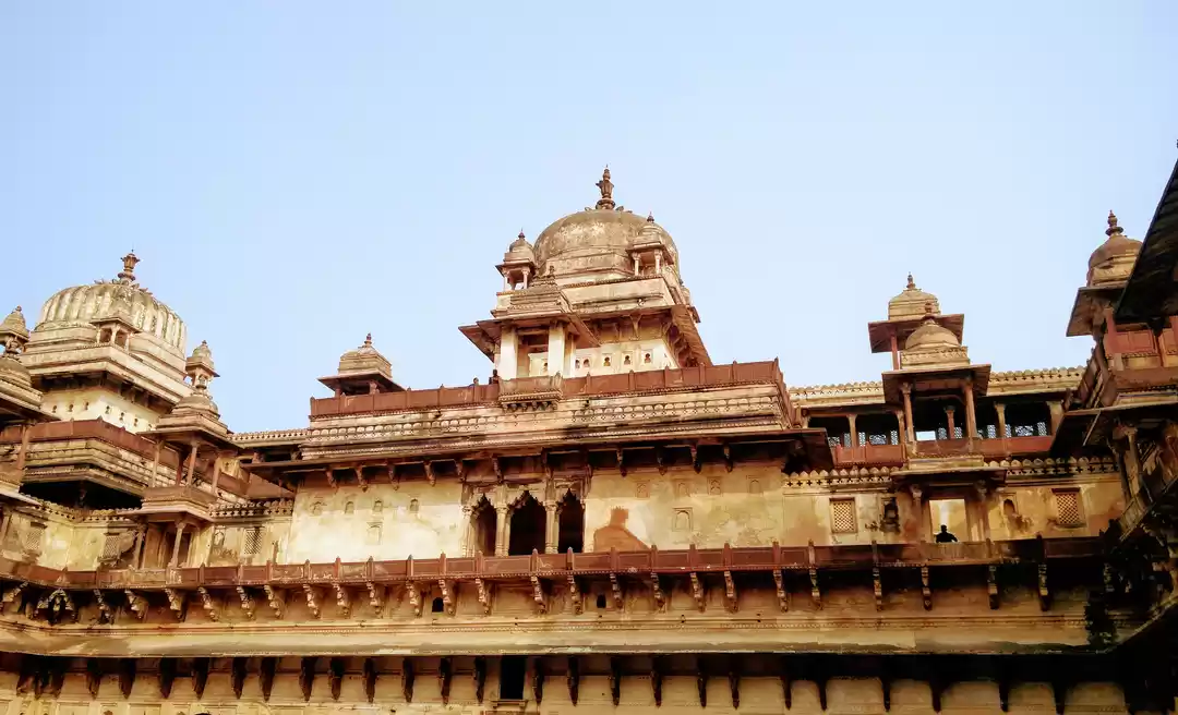 Photo of Twining in Jhansi, O