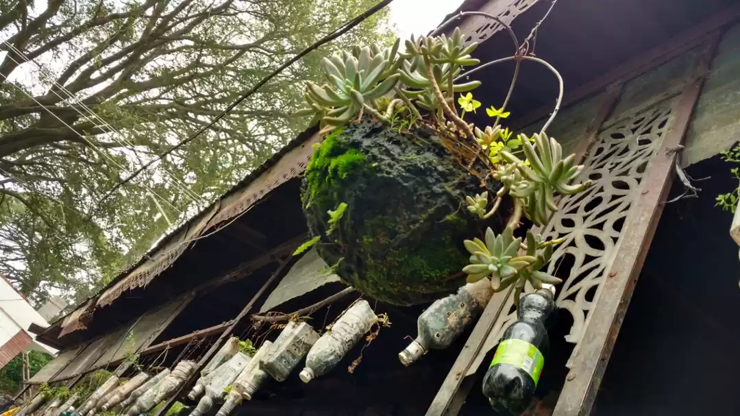 Photo of And this time my sol