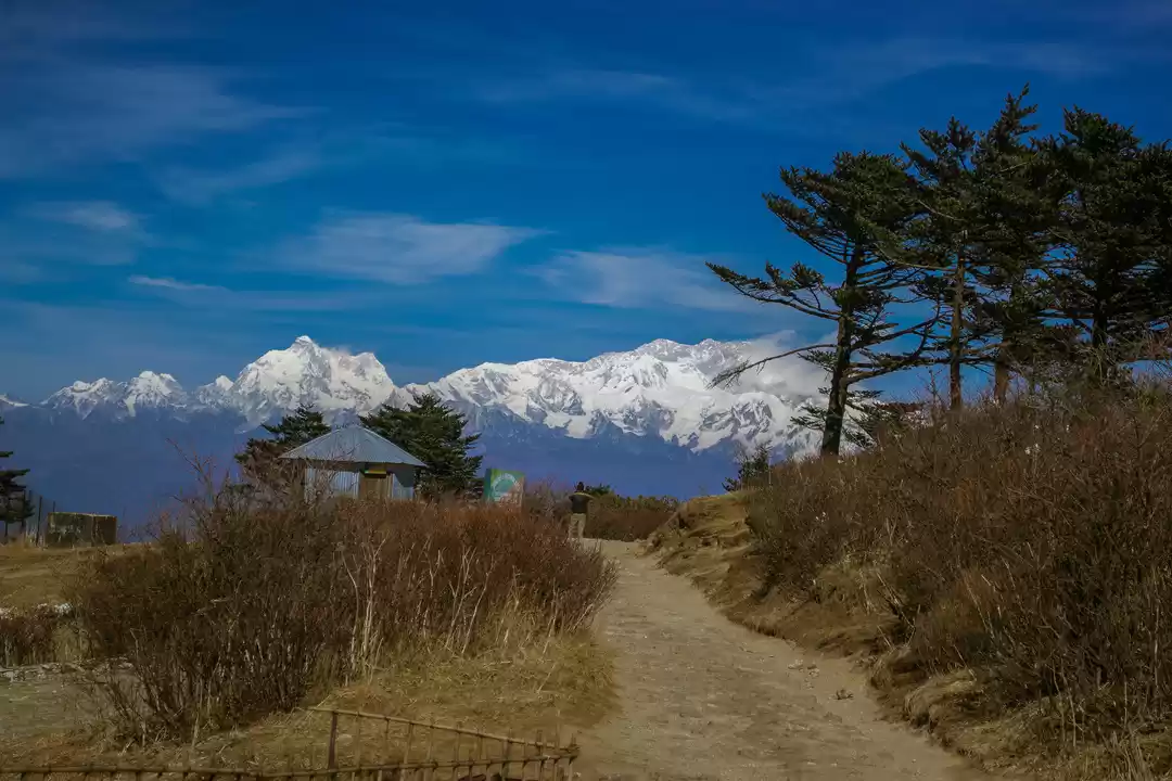 Photo of Sandakphu- Trekker's