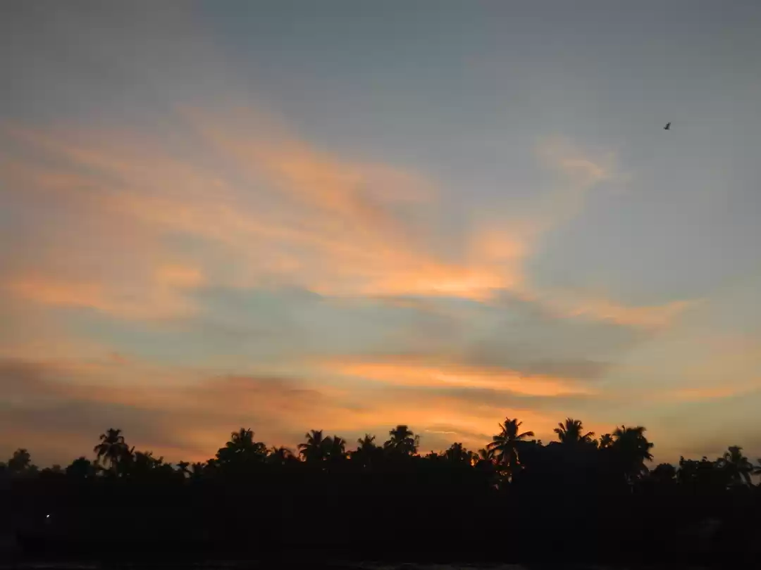 Photo of HONEYMOON TRAVEL DIA