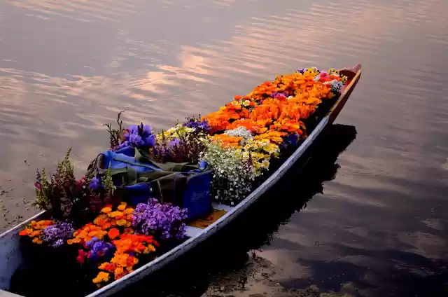 Photo of Pampore: Kesariya Ga