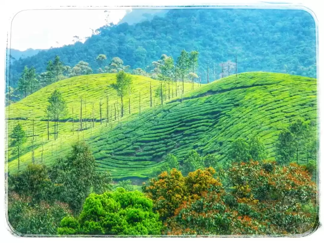 Photo of Kerala- A Visit To S