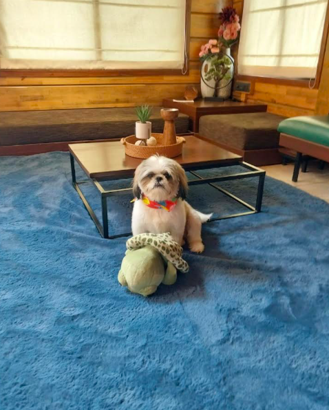 Photo of Mantra by Lohono Sta