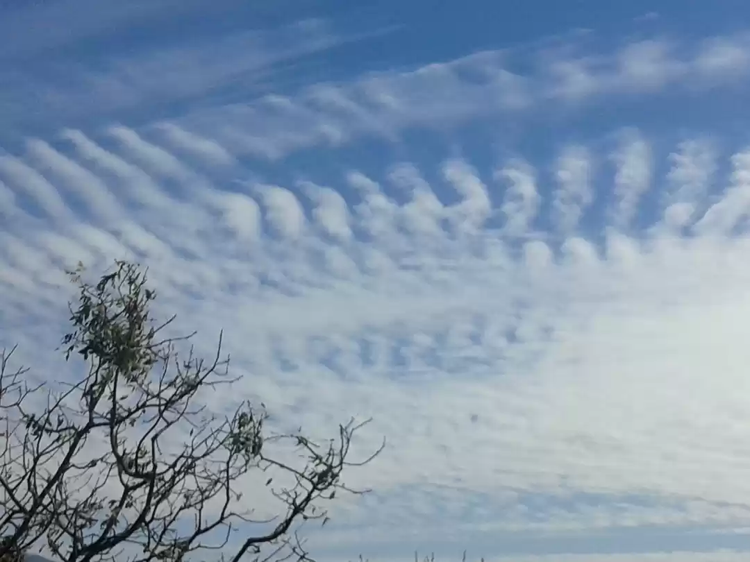 Photo of Queen of Hill statio