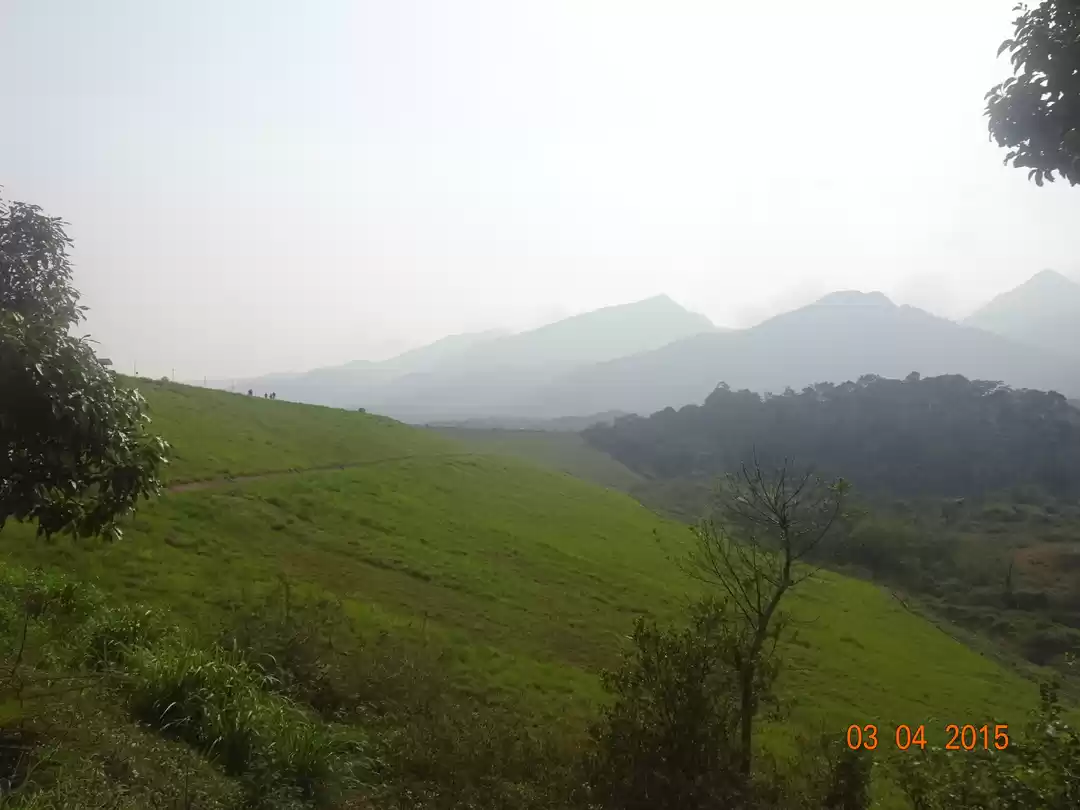 Photo of Wayanad - A wondrous