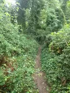 Photo of The Volcanic Adventu