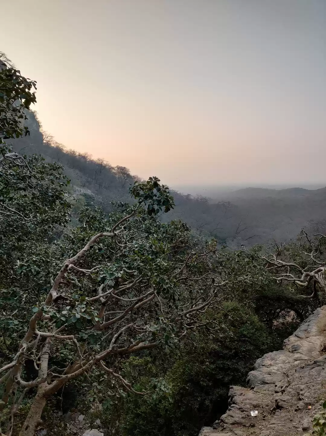 Photo of Things to do in Rant