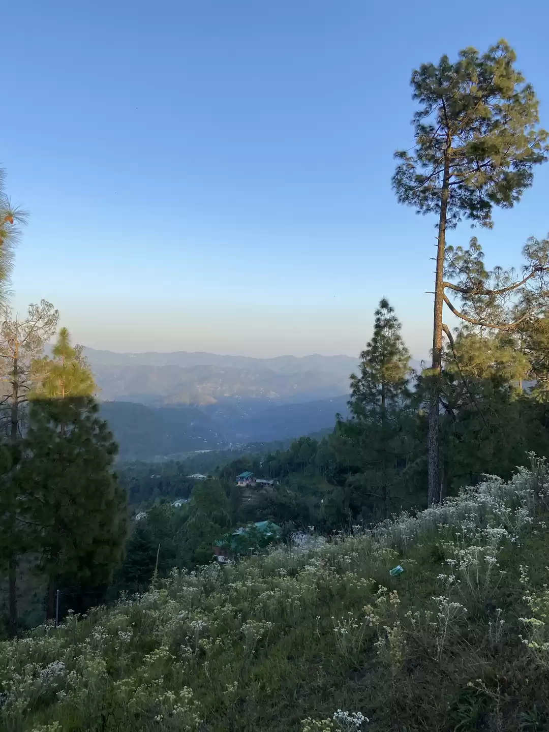 Photo of Kasar Devi, Uttarak