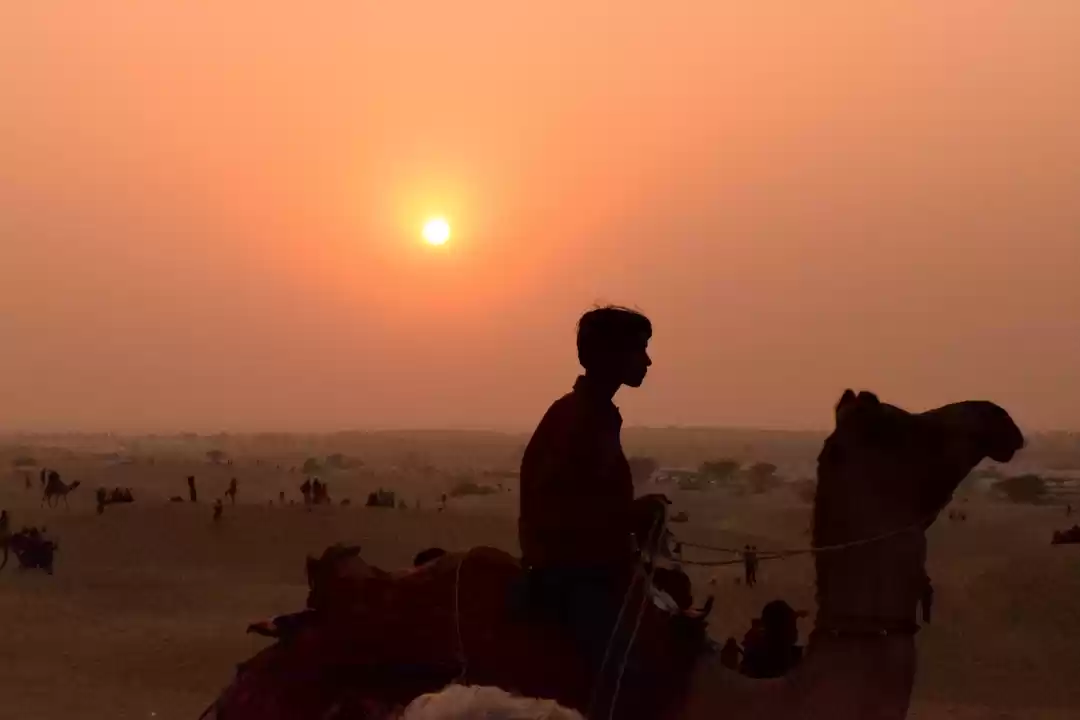 Photo of Jaisalmer - The Gold