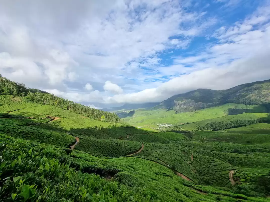 Photo of Tea Trails and Tranq