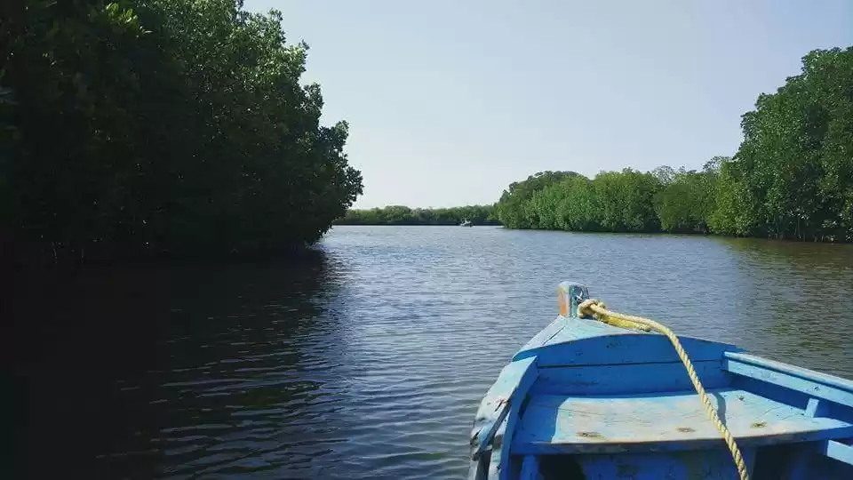 Photo of Trip to World's seco