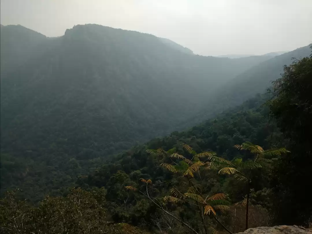 Photo of The Road less travel