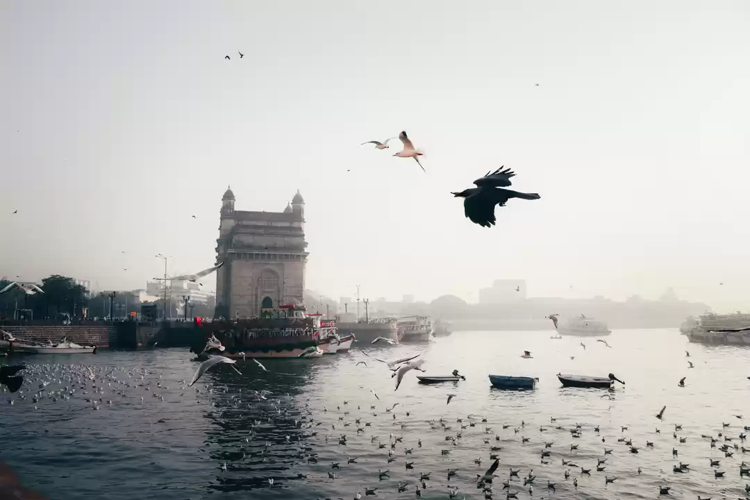 Photo of Cruise into the Hear