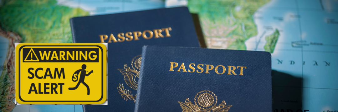 Photo of 51% Indian traveller