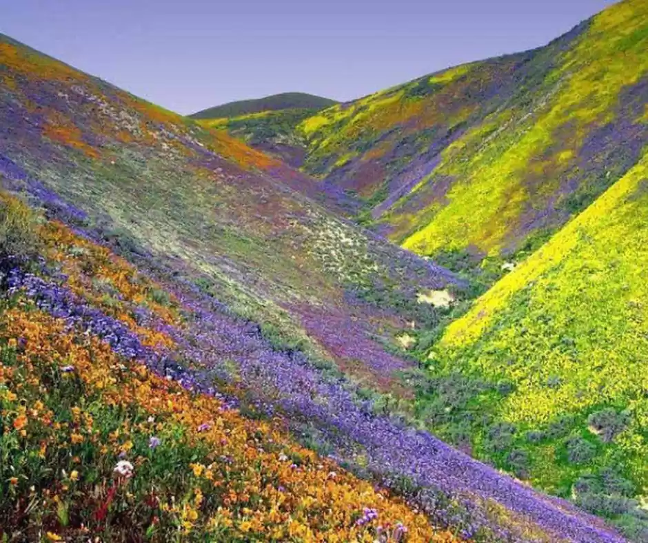 Photo of 10 Best Treks to do 