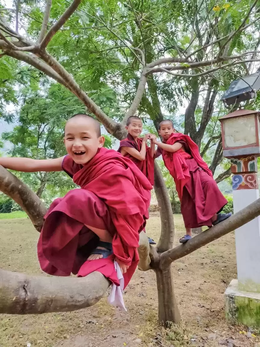 Photo of 10 pictures of Bhuta