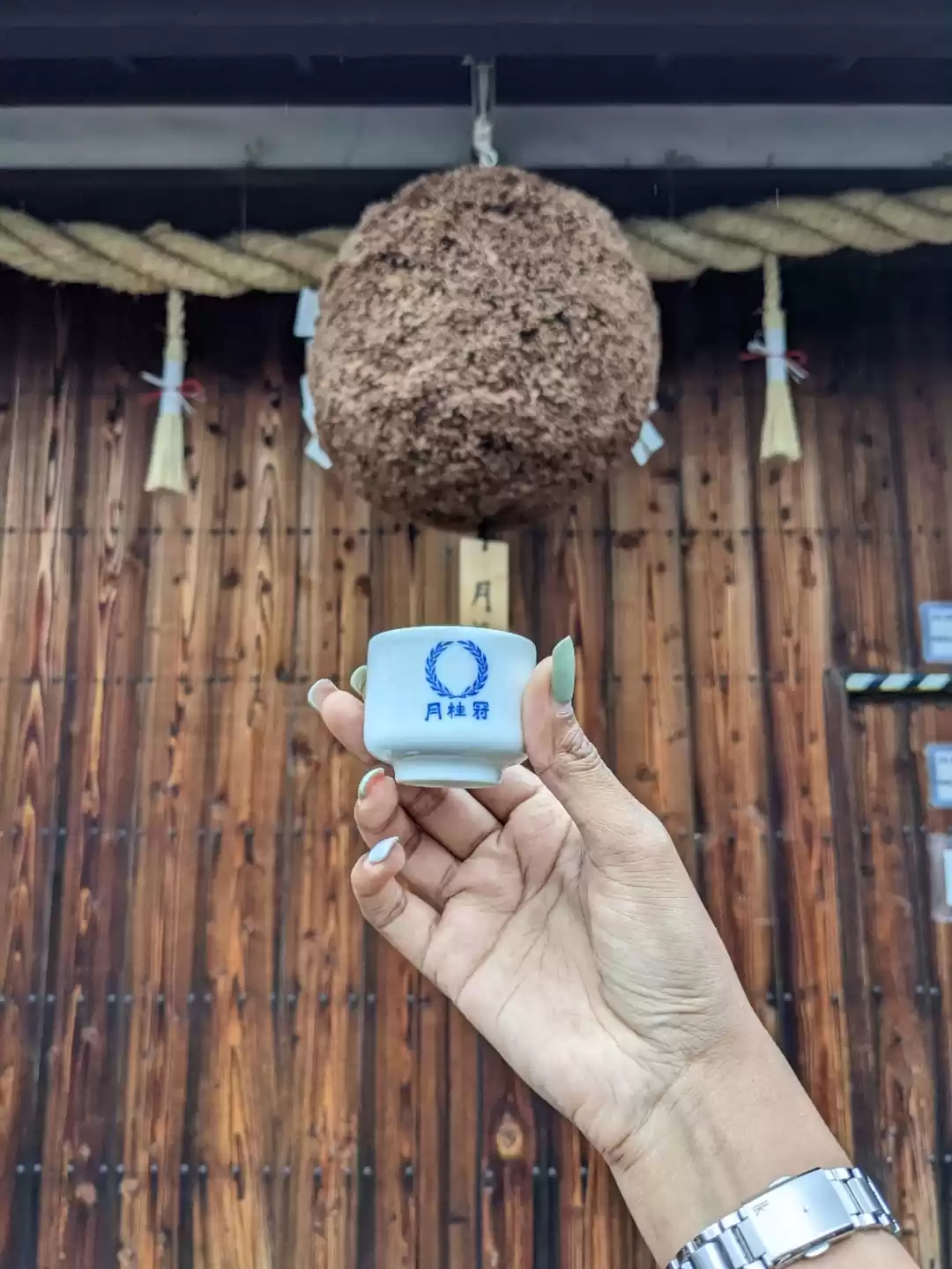 Photo of A glimpse of Kyoto 