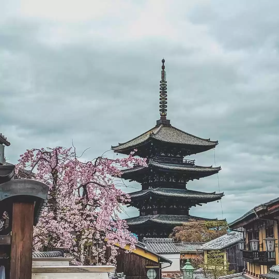 Photo of In Full Bloom