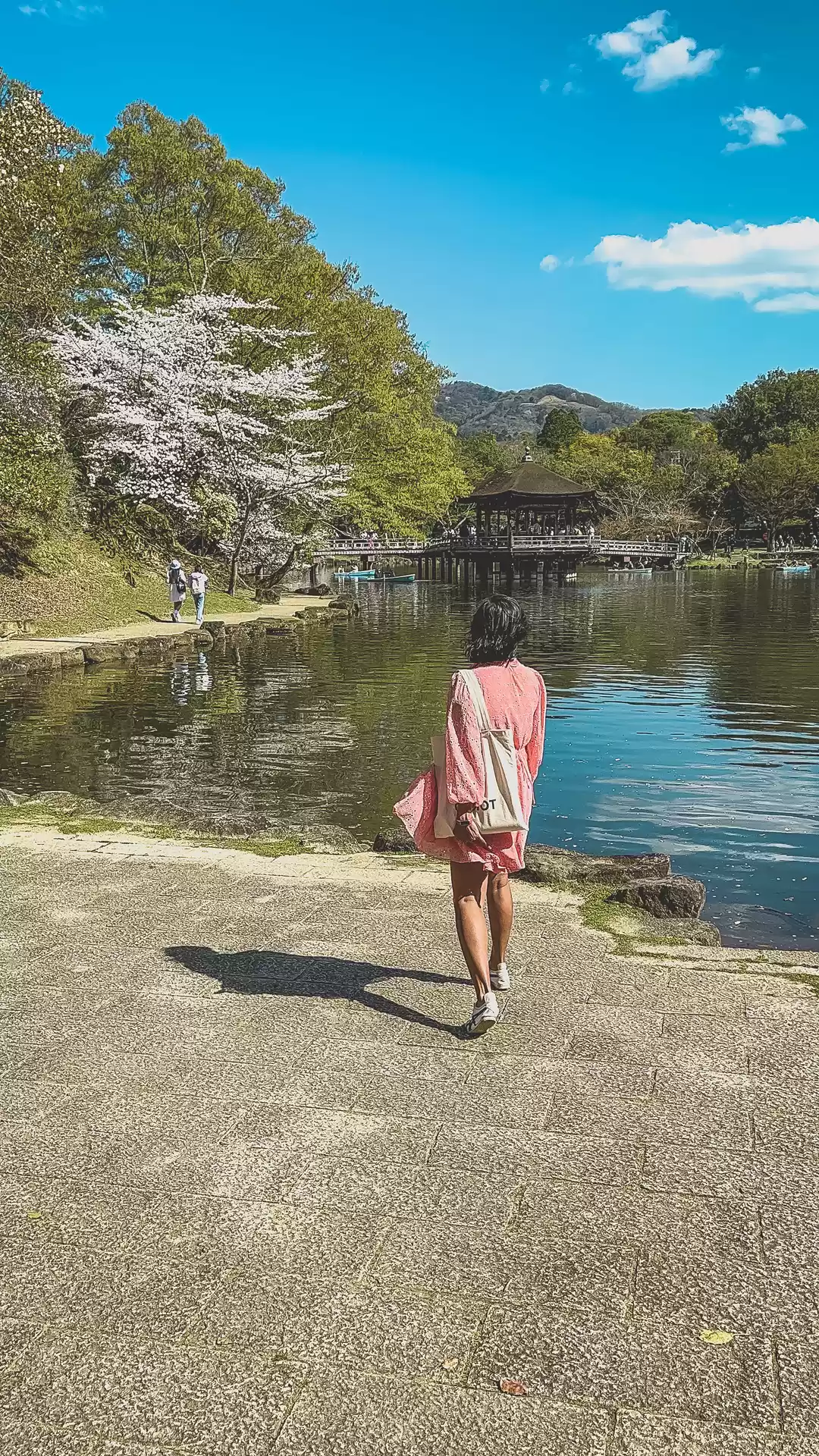 Photo of Nara Travel Guide: T