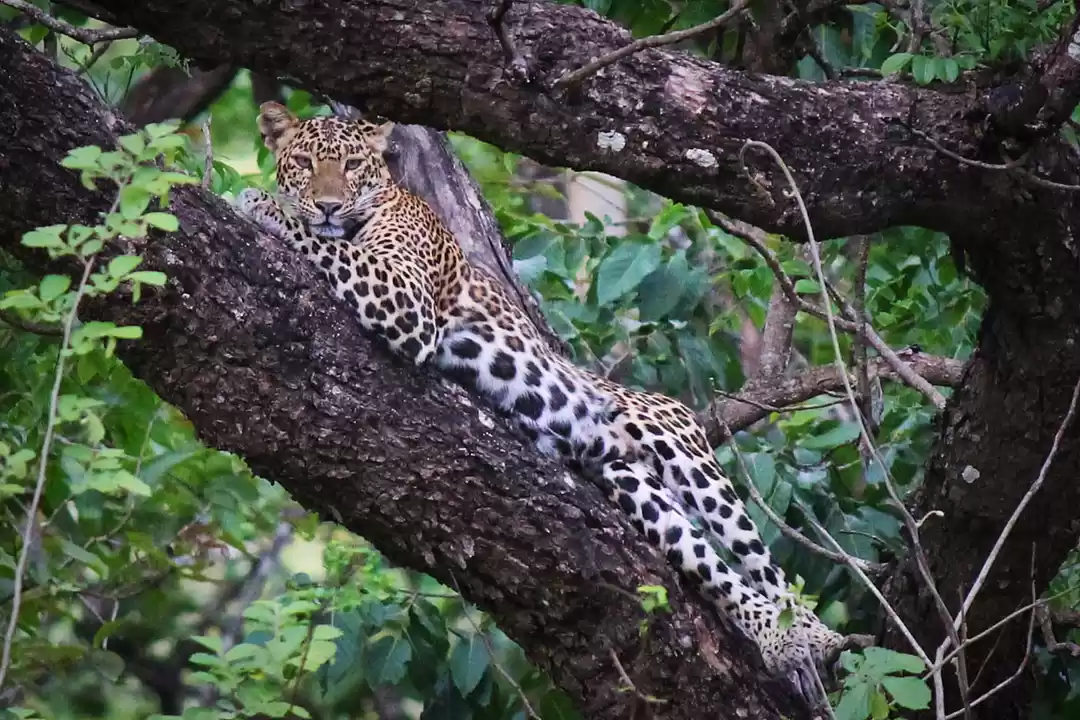 Photo of An Experiential Take