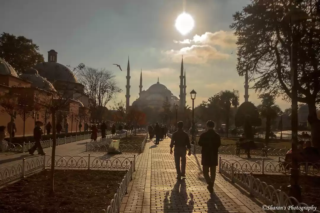 Photo of Turkey With A Backpa