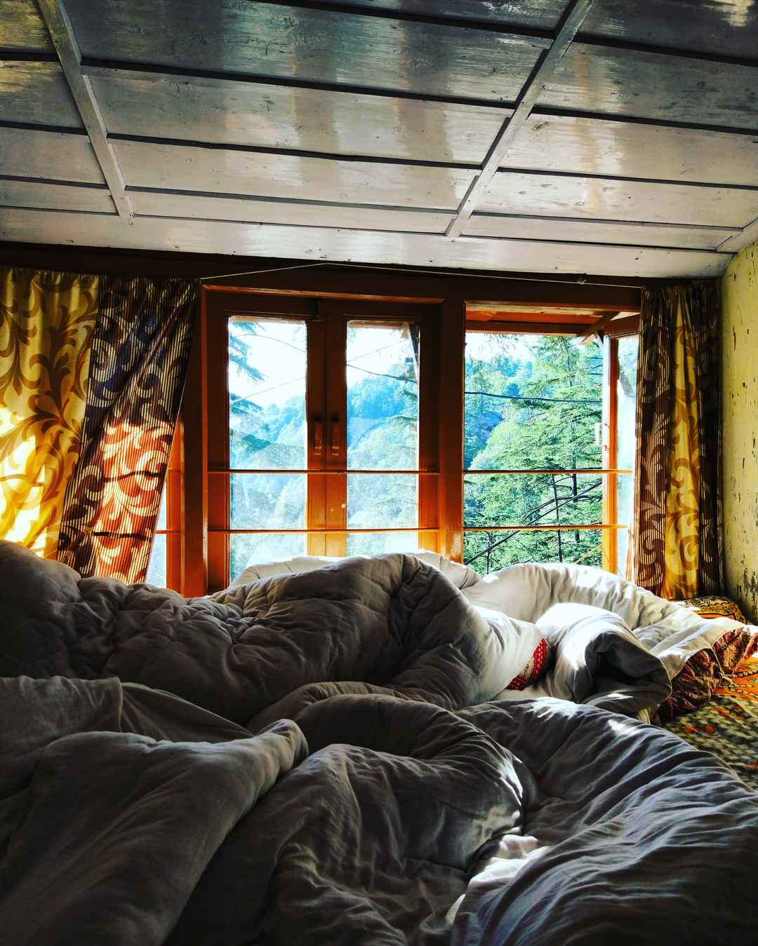 Photo of Chakrata - The perfect weekend getaway from Delhi