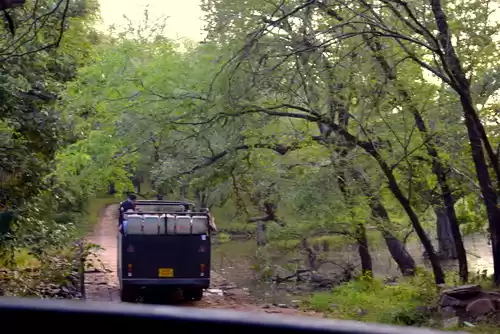Photo of Ranthambore: An Enco