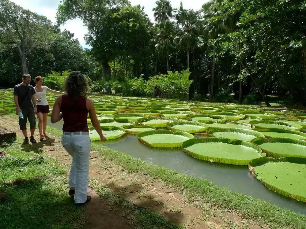 Photo of A Week in Paradise –