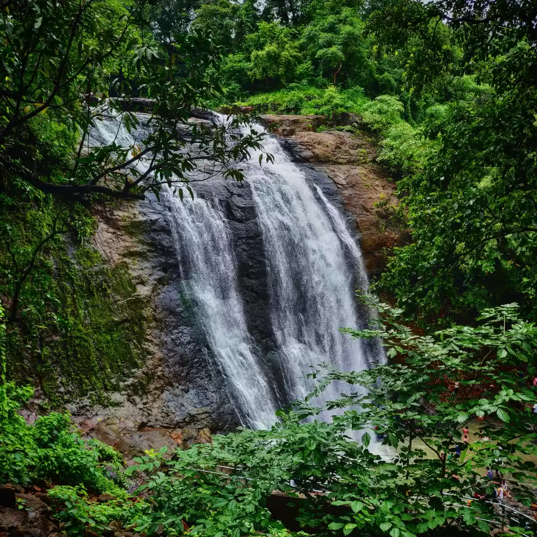 Photo of Road Trip to Igatpur