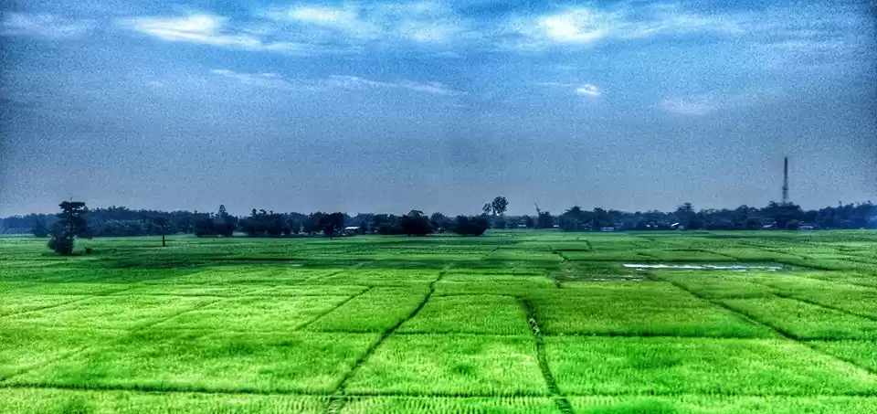 Photo of Zen in Ziro: some gu