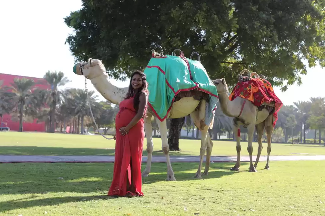 Photo of Travelling with a bu