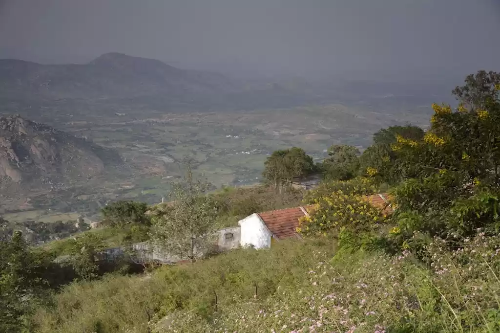 Photo of Andhra Pradesh: A Co