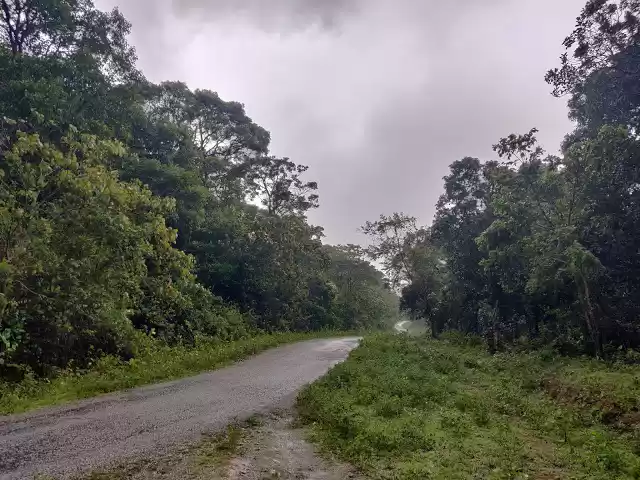 Photo of Weekend at Sakleshpu