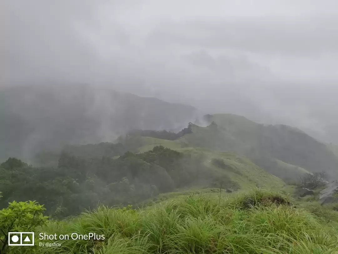 Photo of Kudremukh Monsoon tr