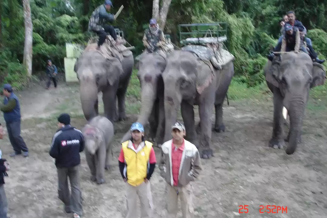 Photo of Rhino spotting: Kazi