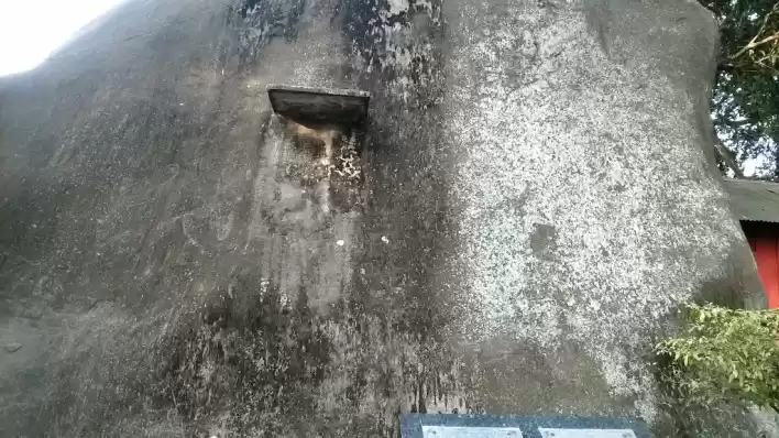 Photo of The Might of the Aho