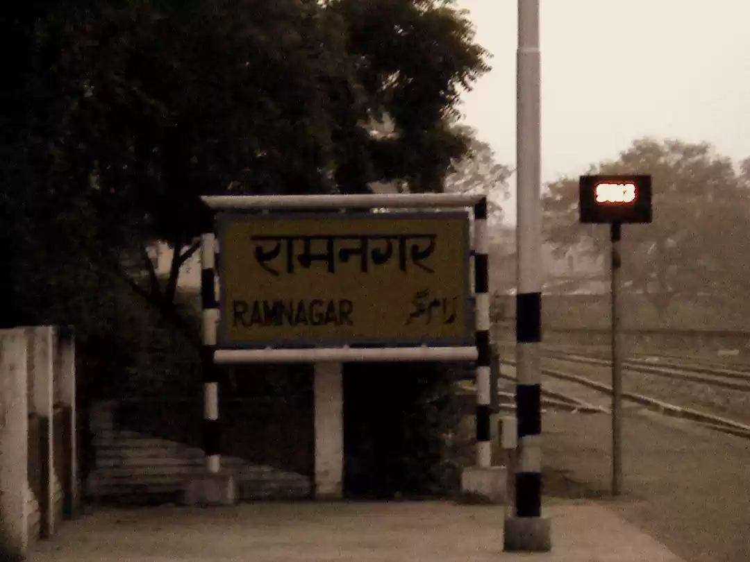 Photo of In search of Man Eat