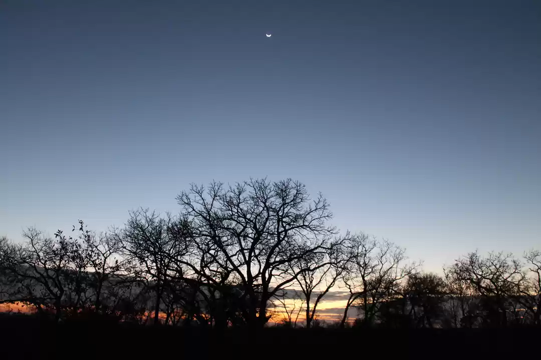 Photo of Spectacular South Af