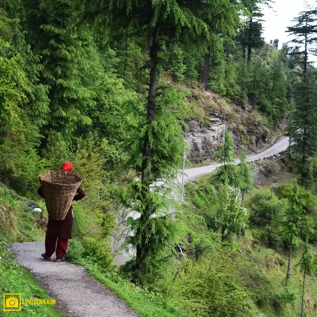 Photo of Jibhi: A Scenic Haml