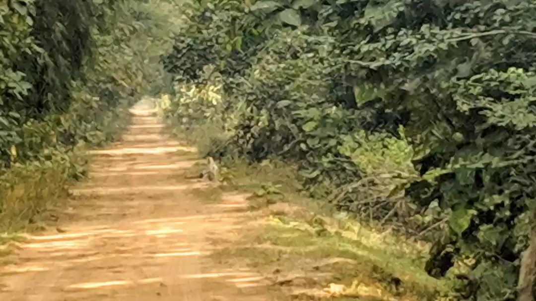 Photo of Trip to Kuntala wate