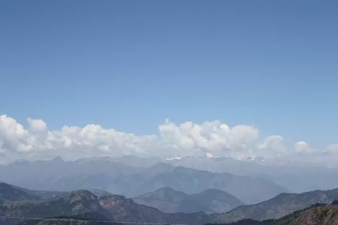 Photo of Bewildering Parashar