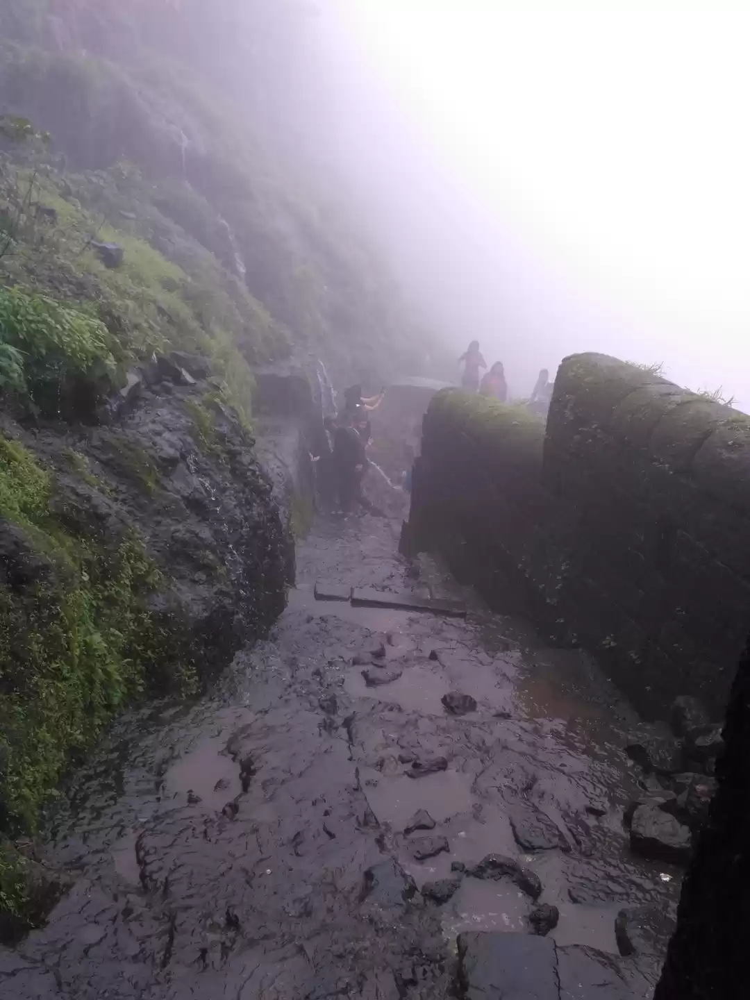 Photo of Lohagad Monsoon Trek