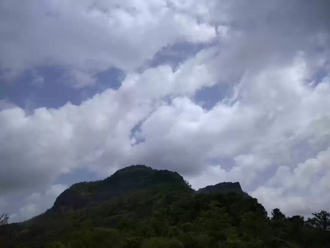 Photo of Sudhagad Monsoon Tre