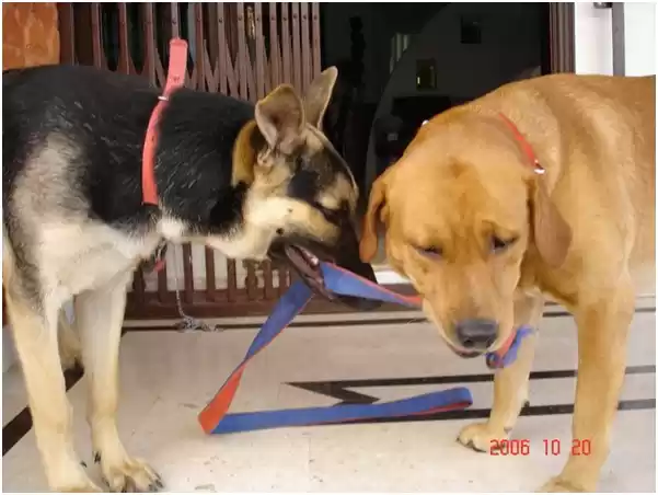 Photo of 1100 kms, 3 states a