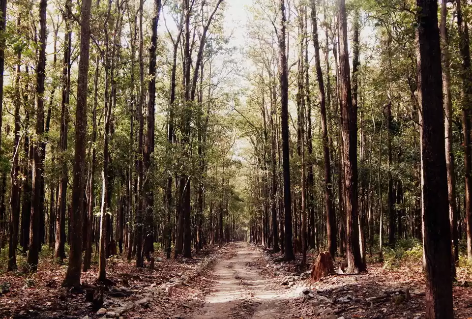 Photo of Fascinating Uttarakh