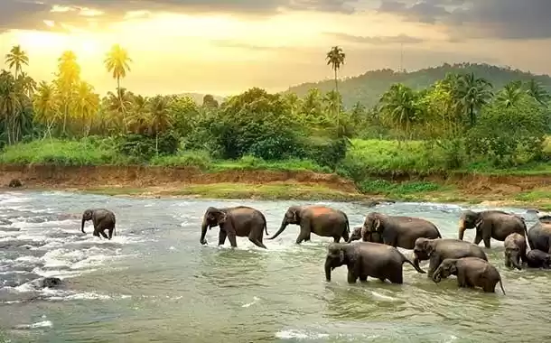 Photo of Exploring Sri Lanka
